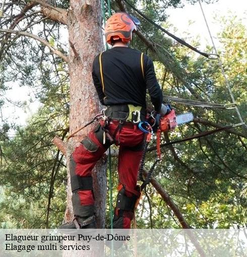 Elagueur grimpeur 63 Puy-de-Dôme Elagage multi services